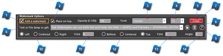 Watermark Options